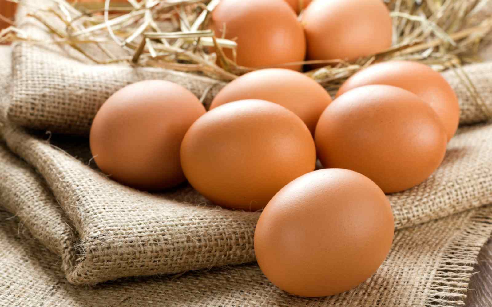 Ăn trứng gà (kê tử) mỗi ngày: 5 lợi ích sức khỏe từ loại thực phẩm được Đông y đánh giá cao- Ảnh 2. Dược thiện tốt nhất từ trứng gà cho người tăng huyết áp