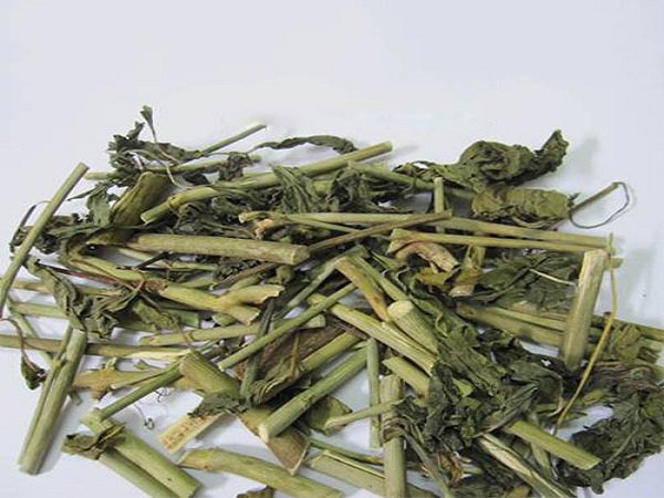 6 lợi ích sức khỏe của cây xương khỉ- Ảnh 2. 6 lợi ích sức khỏe của cây xương khỉ- Ảnh 2.