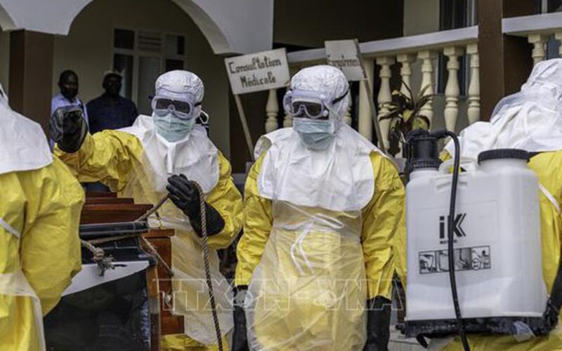 Dịch Ebola: Liên minh chống dịch bệnh tài trợ 60 triệu USD phát triển vaccine