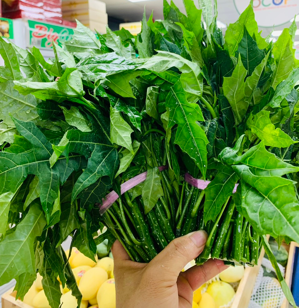 Những ai không nên ăn rau mì chính?- Ảnh 3.