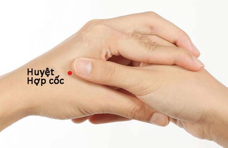 huyet-hop-coc-1780754016778725513464 Các huyệt vị hỗ trợ giảm đau nửa đầu- Ảnh 1.