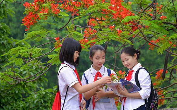 Lời dặn học trò ‘khép lại trang sách’ để mở ra mùa hè trải nghiệm của cô Hiệu trưởng- Ảnh 9.