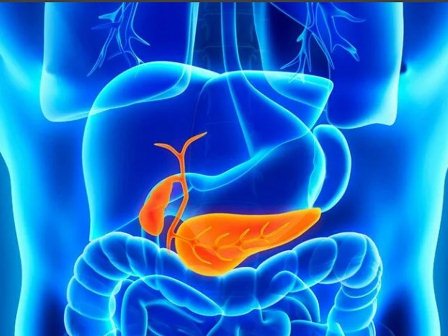 Bước đột phá trong điều trị ung thư tuyến tụy- Ảnh 2. Những dấu hiệu cảnh báo ung thư tuyến tụy