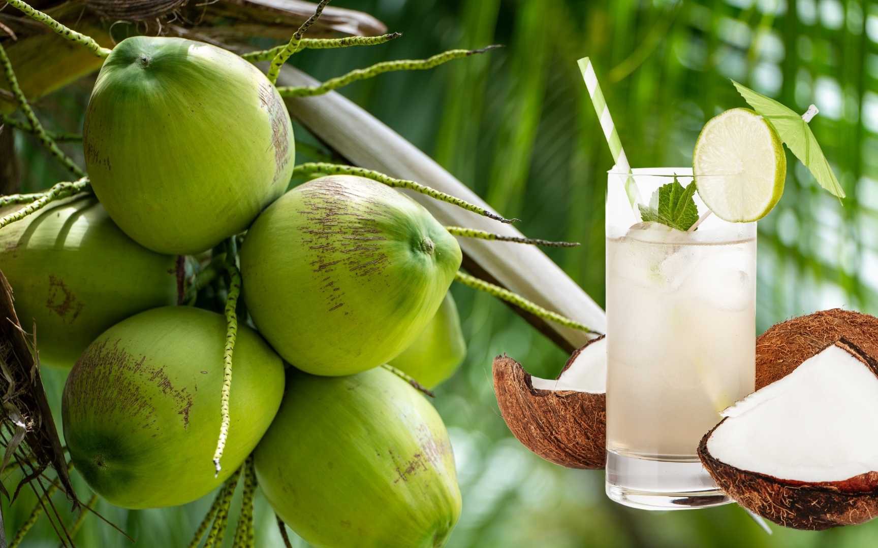 Cách bổ sung nước đúng khi luyện tập thể thao- Ảnh 2. Dấu hiệu cảnh báo cơ thể đang bị mất nước mùa nóng và cách bổ sung nước hiệu quả
