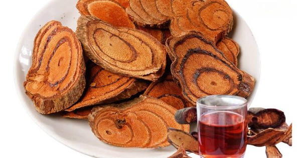 Trà kê huyết đằng: Cách dùng giúp phát huy công dụng và đảm bảo an toàn