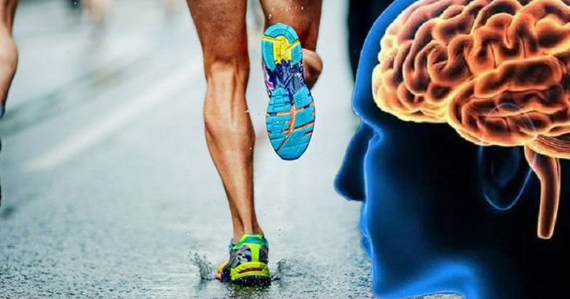 7 cách tự nhiên cải thiện trí nhớ- Ảnh 1. 7 cách tự nhiên cải thiện trí nhớ- Ảnh 1.