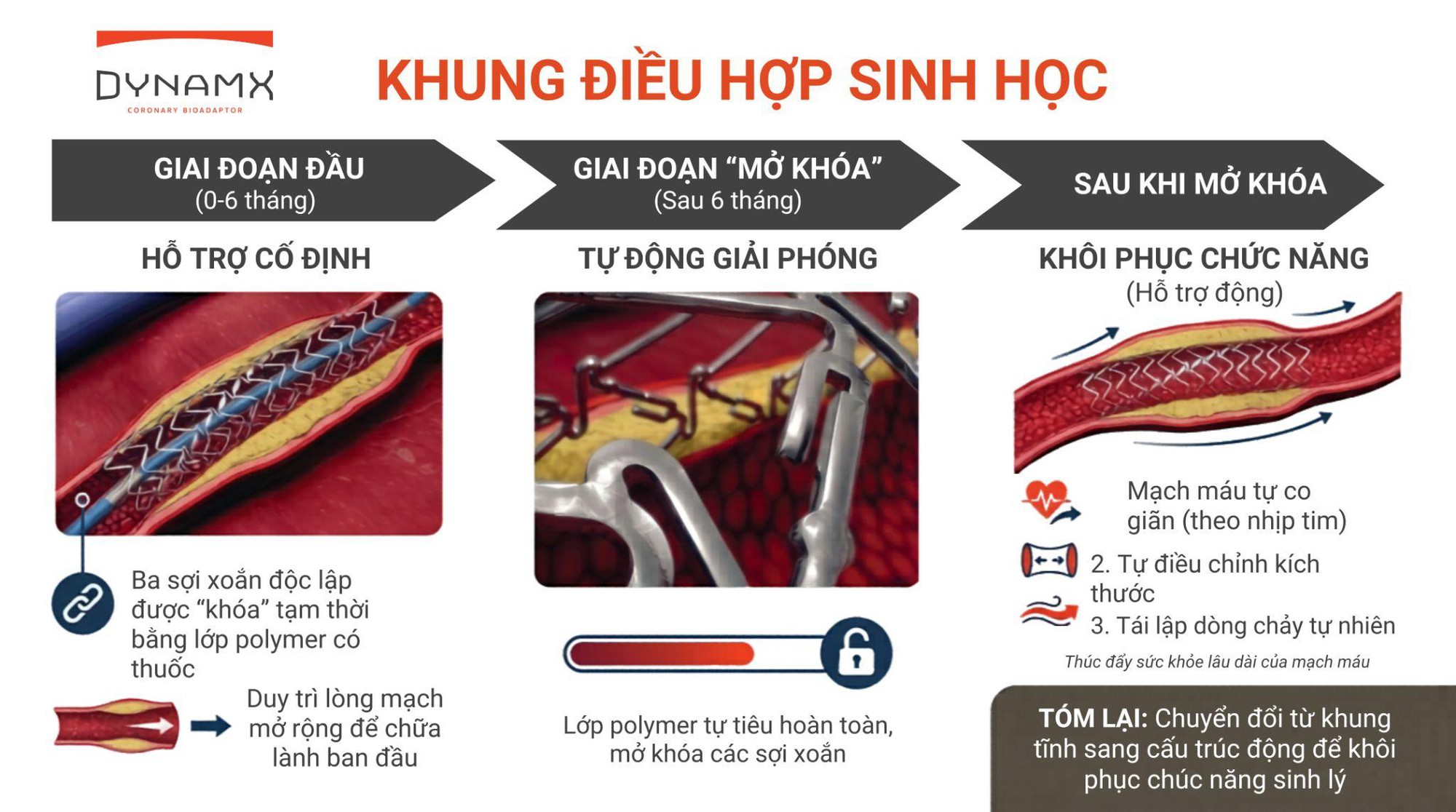 photo-1780911530967-17809115312231084469227 Khung điều hợp sinh học chứng minh giảm vượt trội tỷ lệ biến cố tim mạch sau 4 năm - kết quả nghiên cứu mới được công bố tại Hội nghị Tim mạch Châu Âu 2026- Ảnh 2.