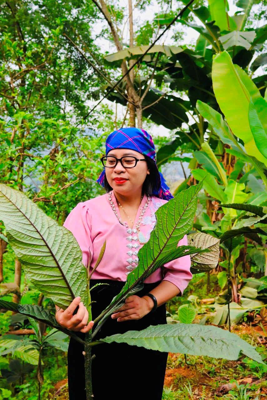 Y sĩ Nguyễn Thị Thái gìn giữ bài thuốc Đông y hỗ trợ điều trị hiếm muộn- Ảnh 1. Y sĩ Nguyễn Thị Thái gìn giữ bài thuốc Đông y hỗ trợ điều trị hiếm muộn- Ảnh 1.