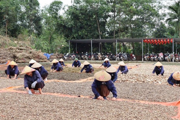Y sĩ Nguyễn Thị Thái gìn giữ bài thuốc Đông y hỗ trợ điều trị hiếm muộn- Ảnh 2. Y sĩ Nguyễn Thị Thái gìn giữ bài thuốc Đông y hỗ trợ điều trị hiếm muộn- Ảnh 2.