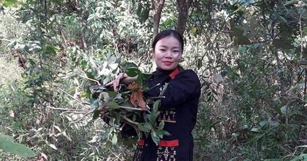 Lương y Lý Thị Mỹ Châu – Cố gắng gìn giữ bản sắc thuốc Nam của người Dao Ba Vì