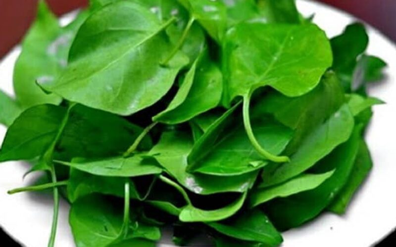 5 tác dụng của cây lá giang với sức khỏe