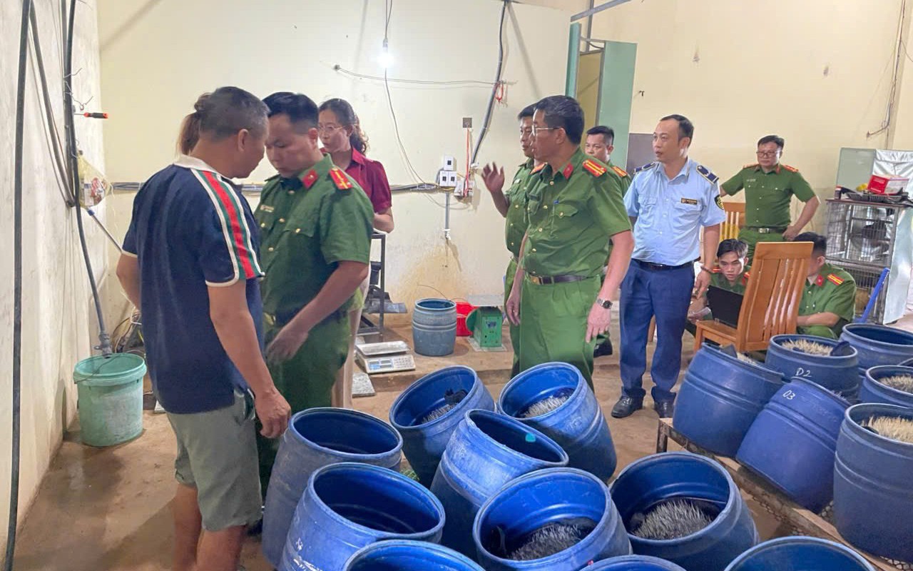 Dùng chất cấm để sản xuất giá đỗ, chủ cơ sở bị khởi tố - Ảnh 2.
