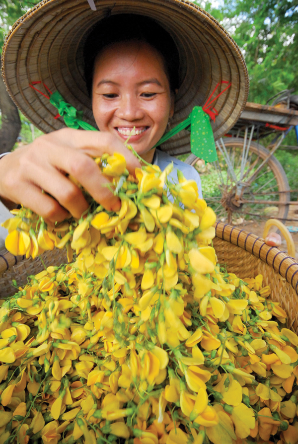 nhung-mon-ngon-thuoc-quy-tu-bong-dien-dien1497771388-1 Bông điên điển hỗ trợ làm đẹp da như thế nào? - Ảnh 2.