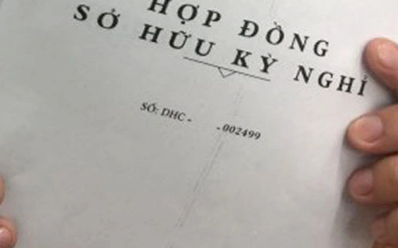 Hợp đồng kỳ nghỉ và những tổn thương không thể khỏa lấp của người già
