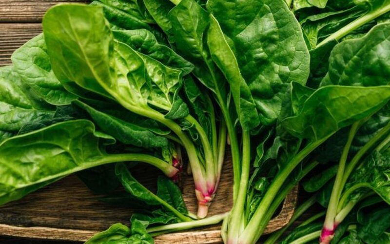 7 thực phẩm giàu magie hỗ trợ giảm cân hiệu quả