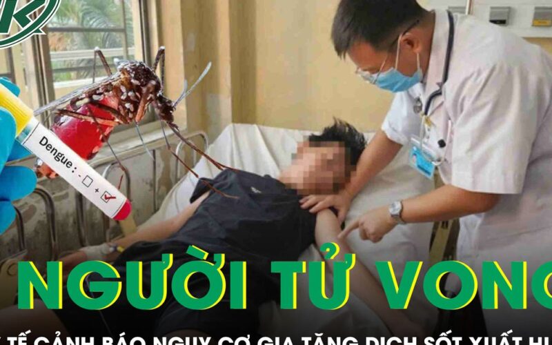5 người tử vong vì sốt xuất huyết, Bộ Y tế lên tiếng cảnh báo